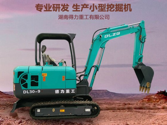 DL30-9小型挖掘機(jī)